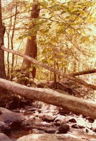 footbridge