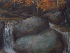 Laurel Creek October Detail
